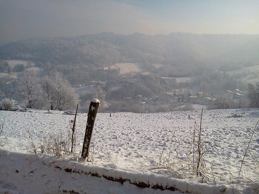 Widok na Jawornik