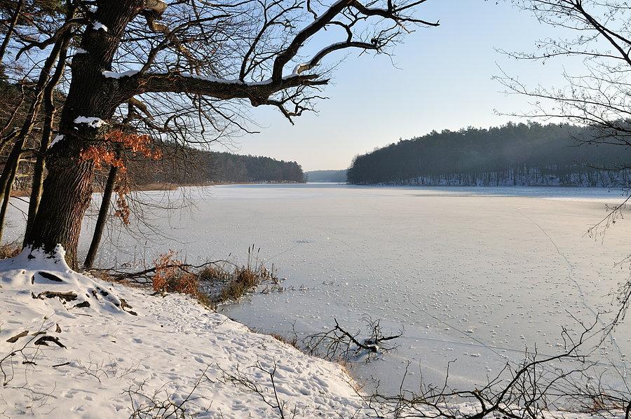 A tak wygląda Jezioro Zduńskie