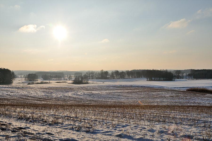 Pola koło Małżewa