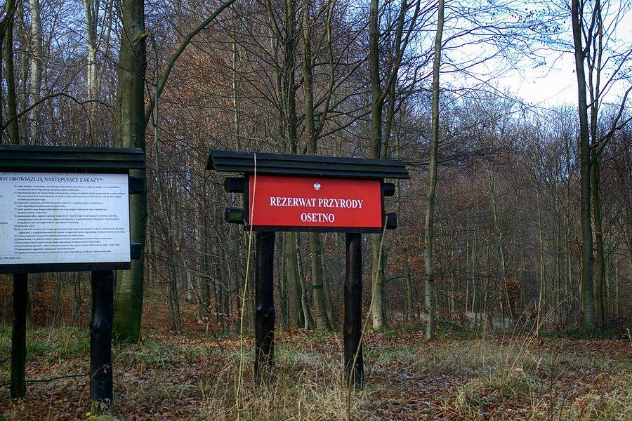 Rezerwat Osetno