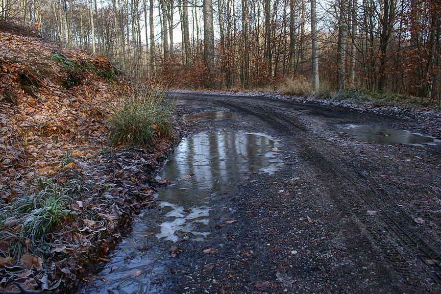 Zamarznięte kałuże na drodze