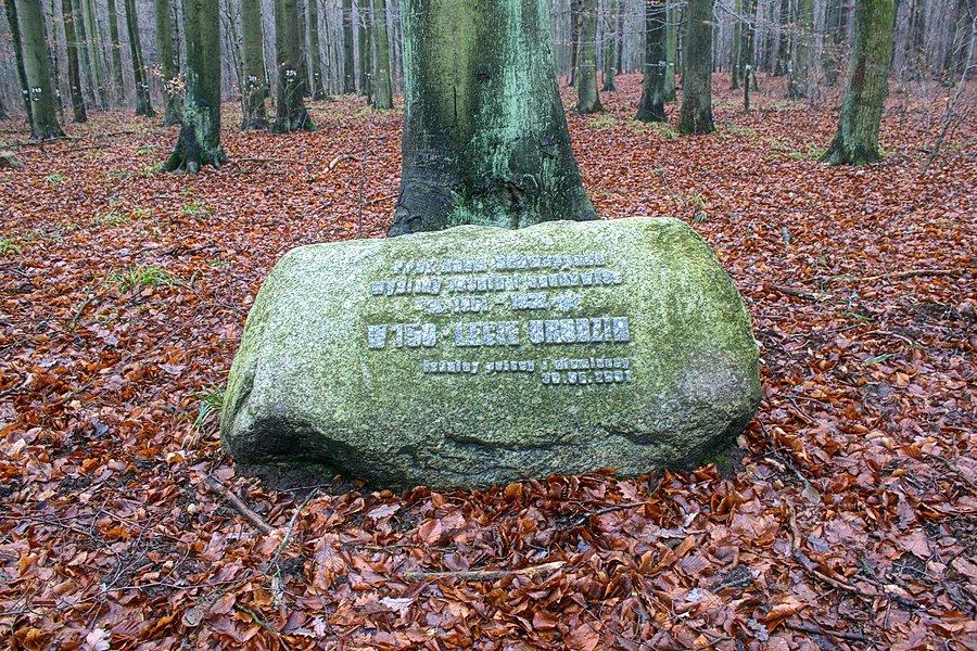 Głaz Schwappacha