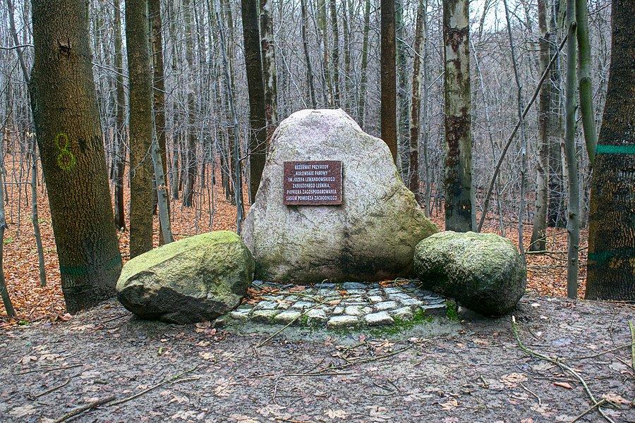 Głaz Lewandowskiego