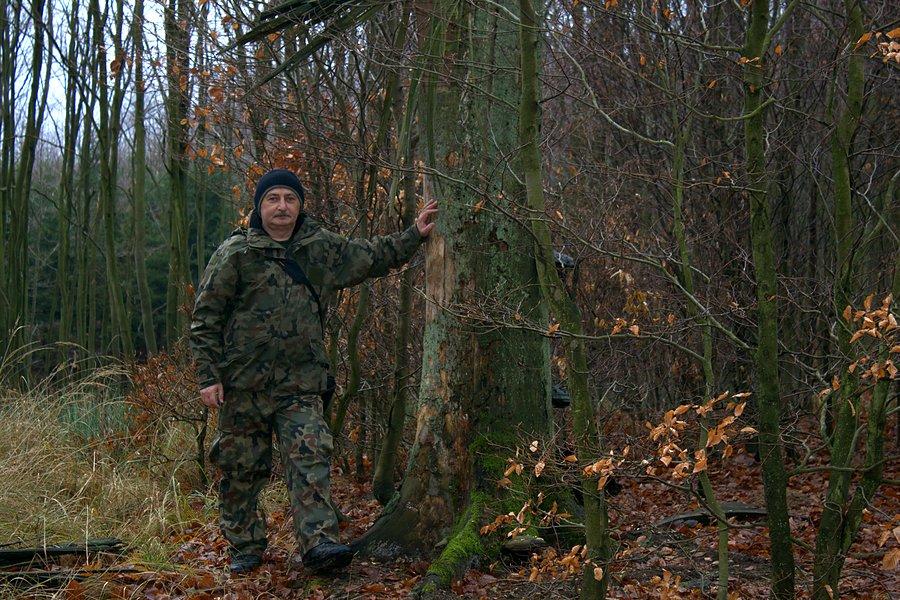 Gdzieś w Buczynowych Wąwozach