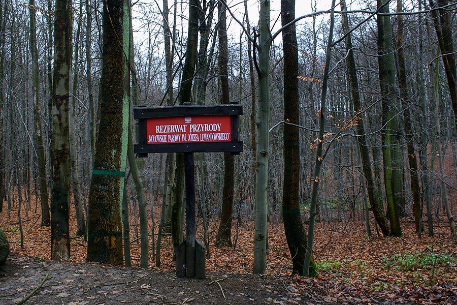 Kołowskie Parowy