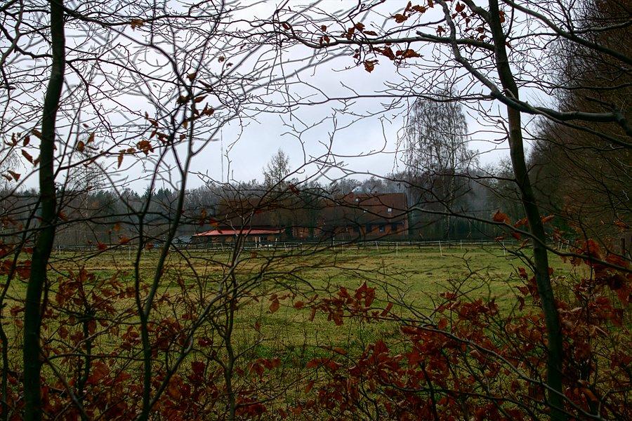 Kołówko