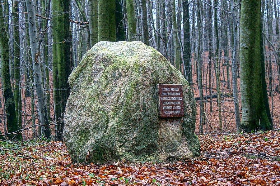Głaz jackowskiego