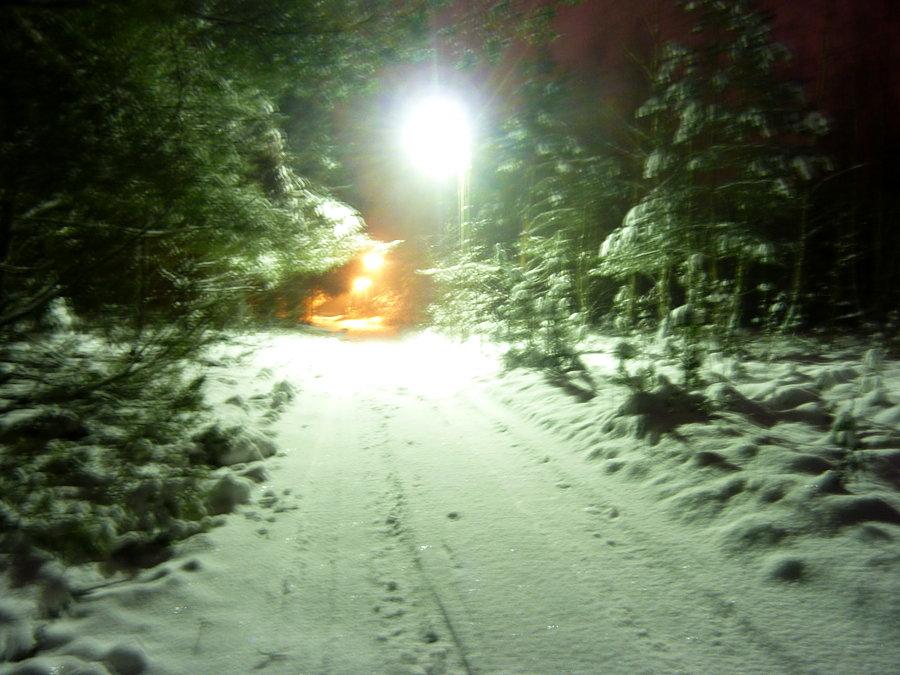Mariew Drugi lub Buda. Nocne szlajanie się na śladówkach po Kampinoskim PN