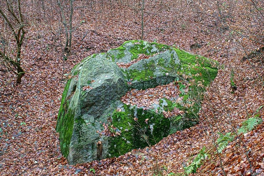 Głaz Krajoznawców