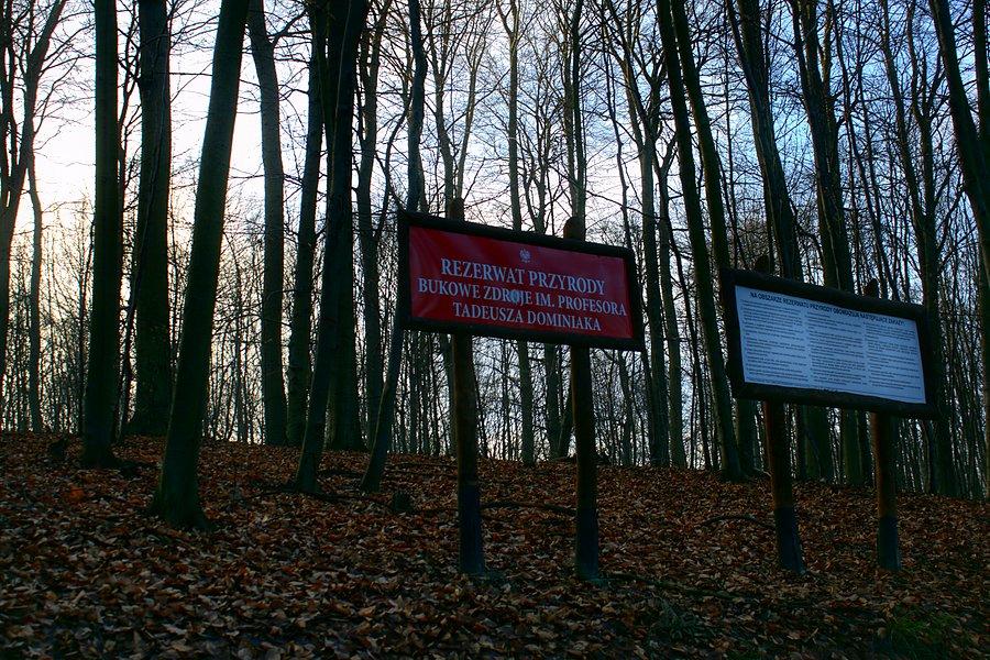 Rezerwat Bukowe Zdroje
