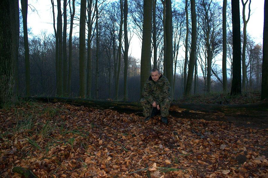 Trochę zmęczony na pniu odpoczywam :)
