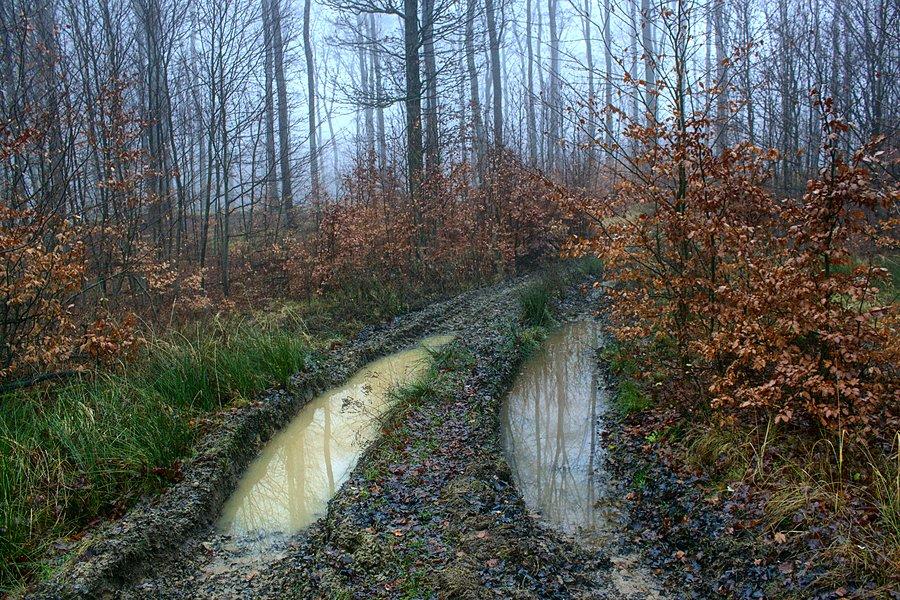 Błota na trasie nie brakowało