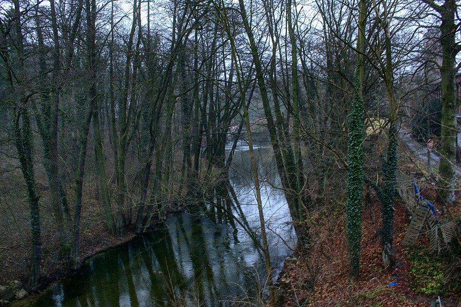 Rzeka Płonia