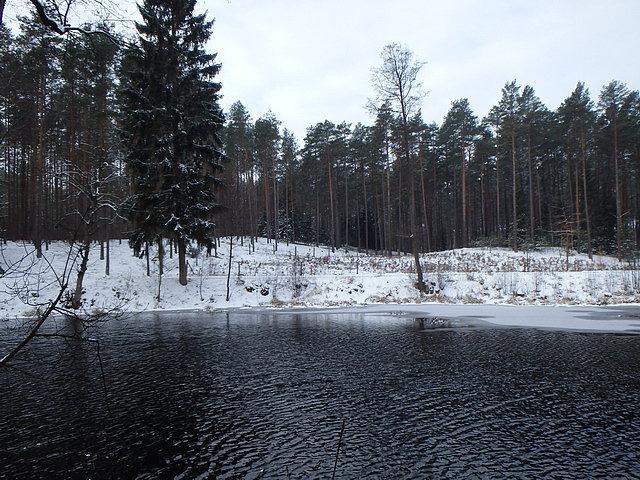 Czernicki Rów - dopływ Brdy
