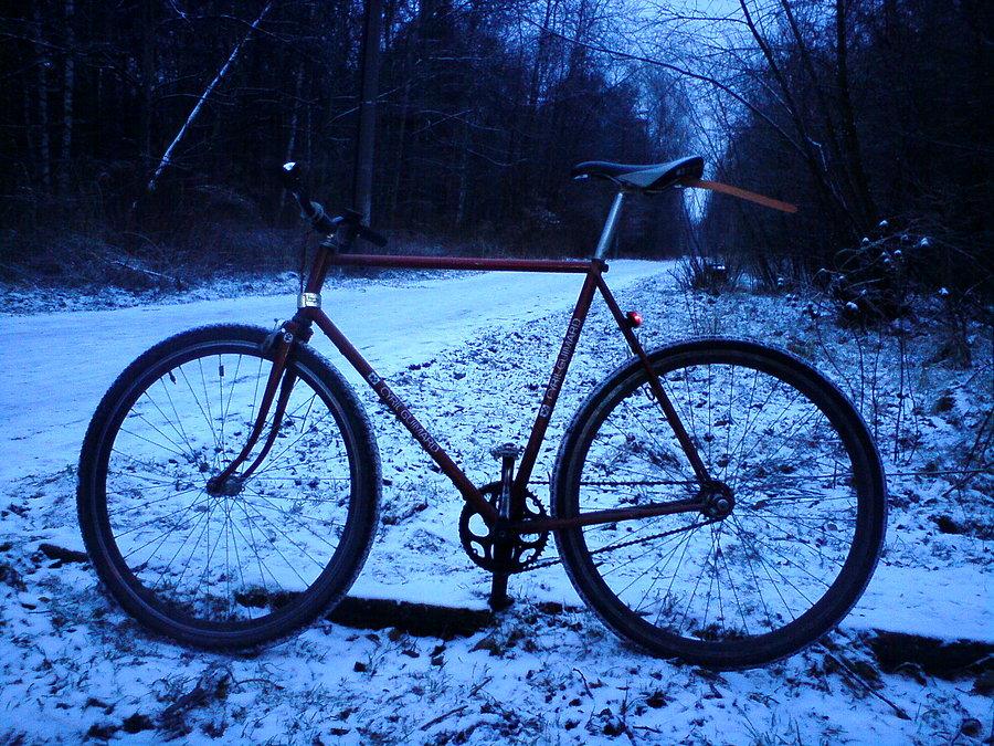 Snow bike