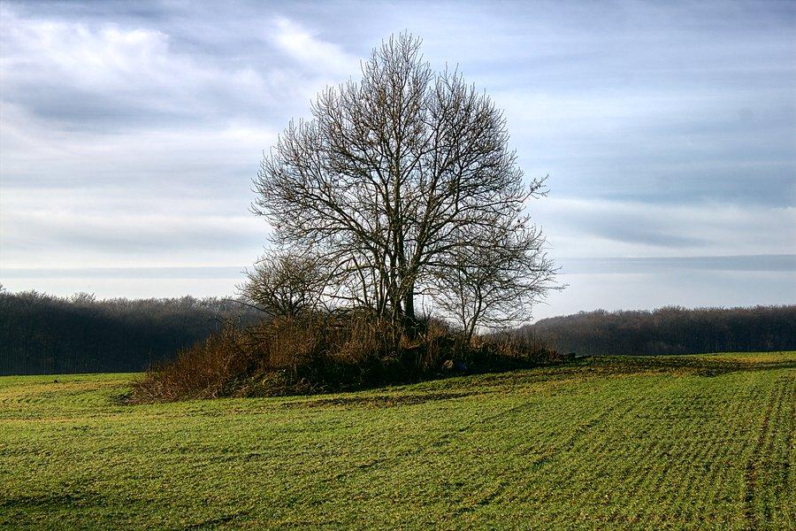 Na szlaku