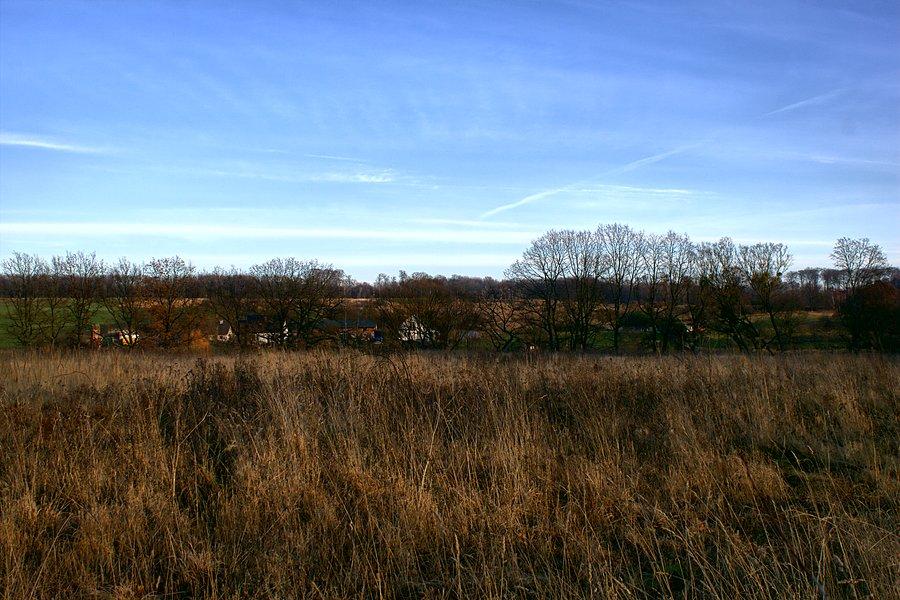 Gdzieś w okolicach Binowa