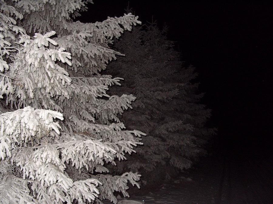 Jednak to był środek nocy, co ja tu robię do giastka ;(