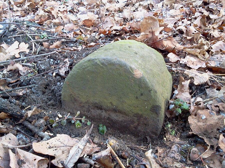 Dawny kamień graniczny Cieszyna, T - Teschen