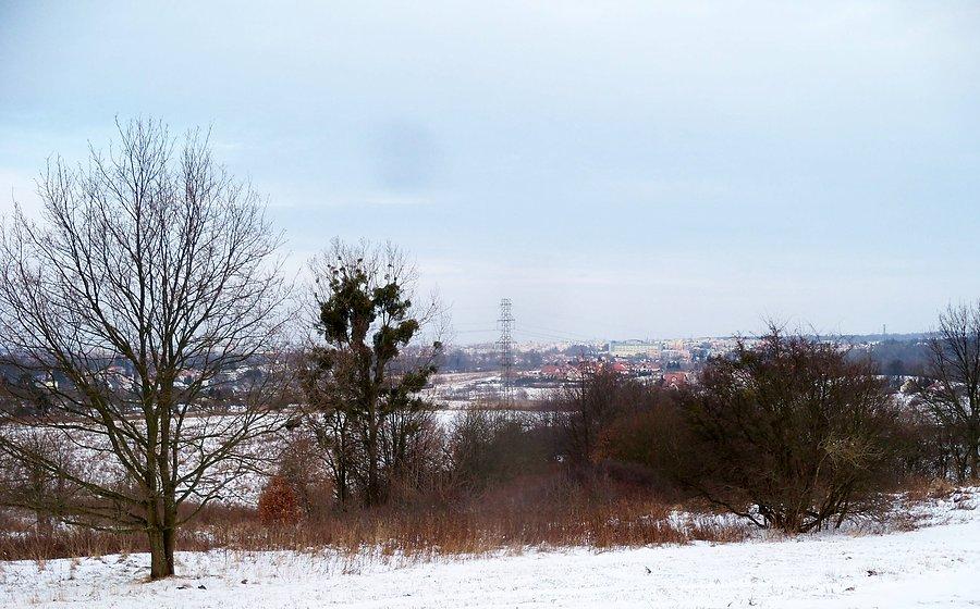 Widok z Gęsiej Góry - północny Elbląg