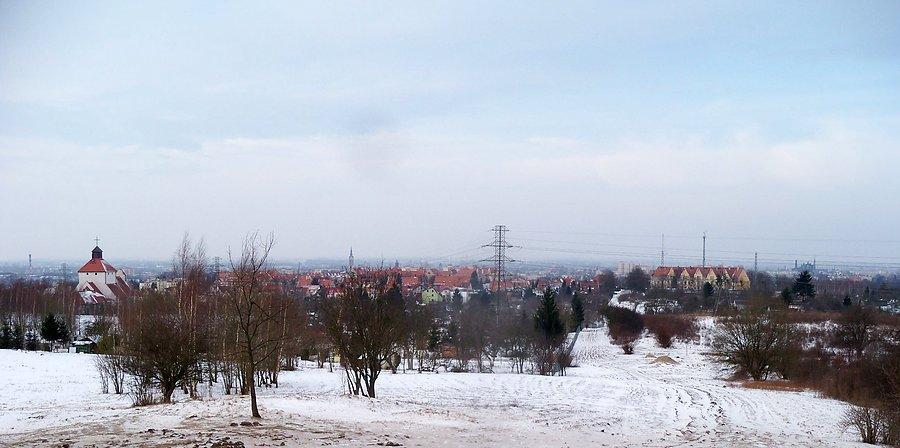 Widok z Gęsiej Góry - panorama Elbląga