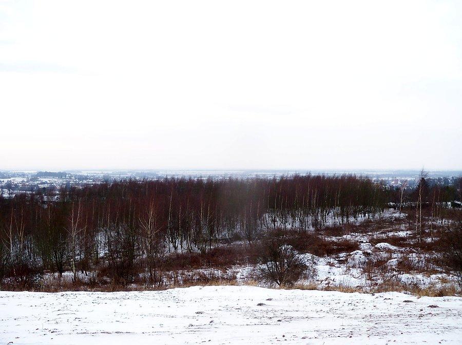 Widok z Gęsiej Góry - Jezioro Druzno