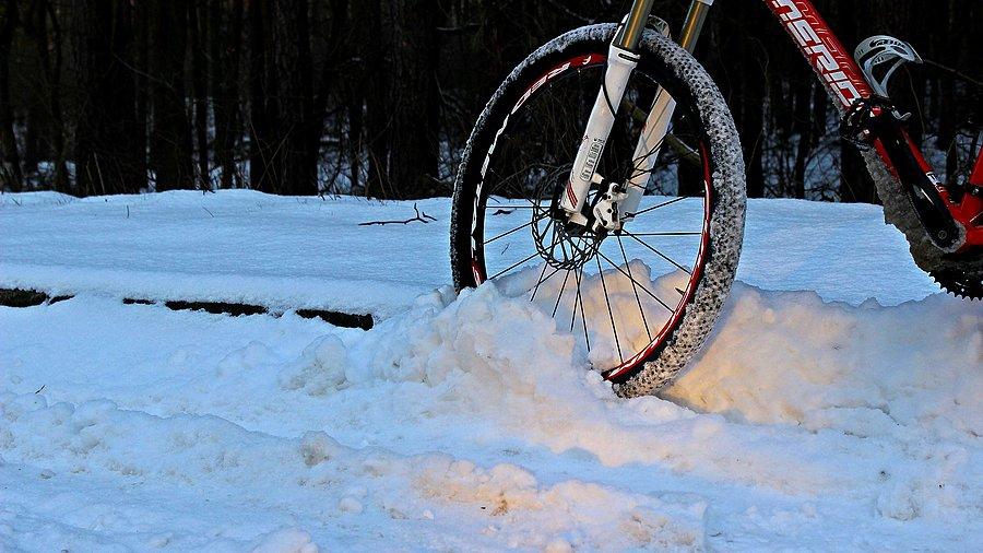 Trochę promyków przebija się przez las
