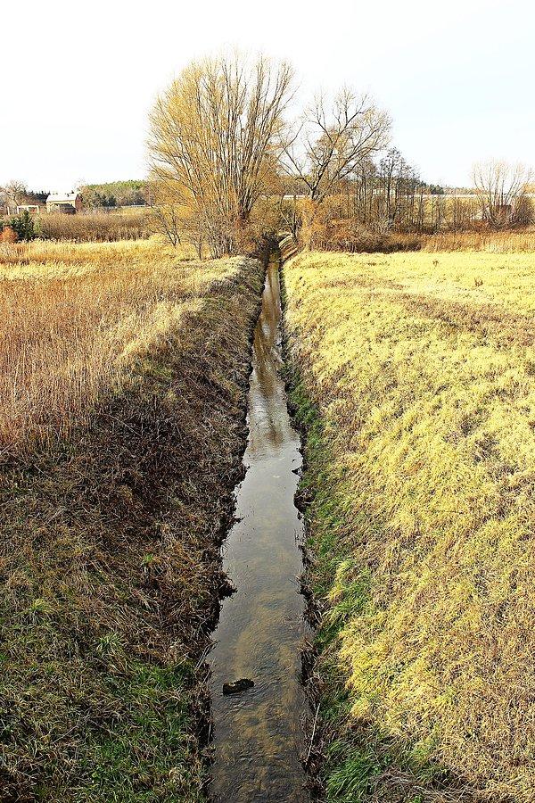 Bronowice