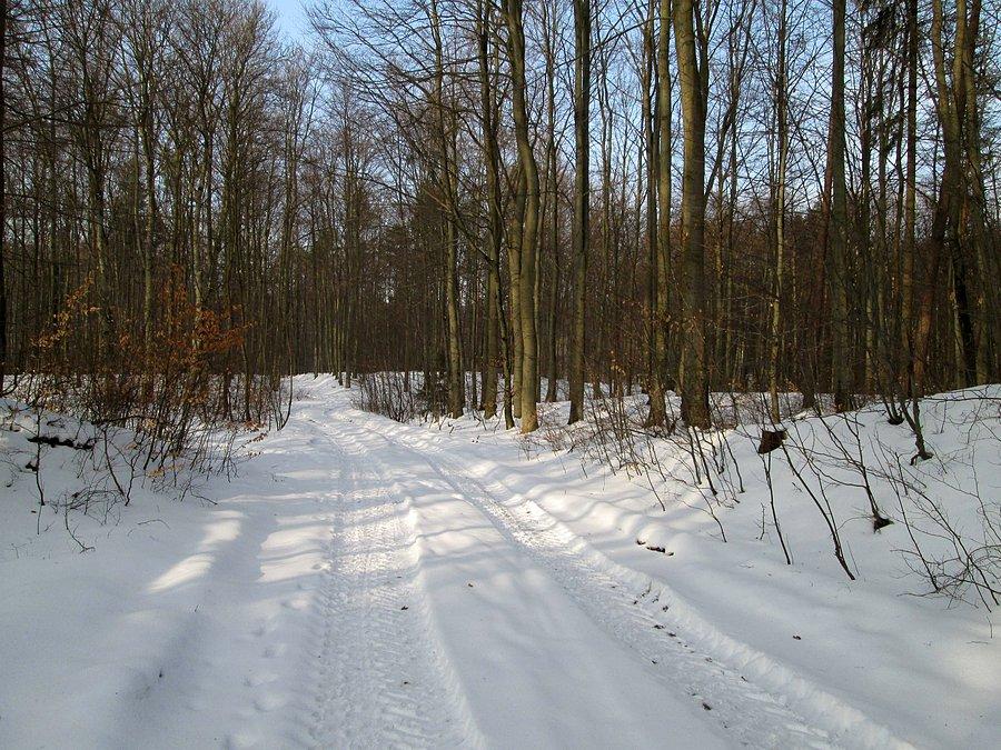 Wracając do domu