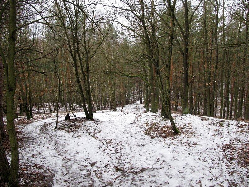 Dziewicza Góra - zjazd killerem