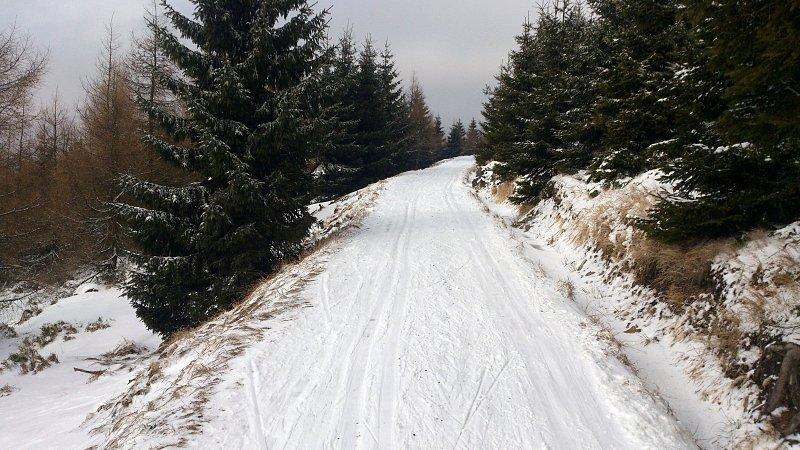 Niebieski szlak między Rozdrożem a Konną Drogą