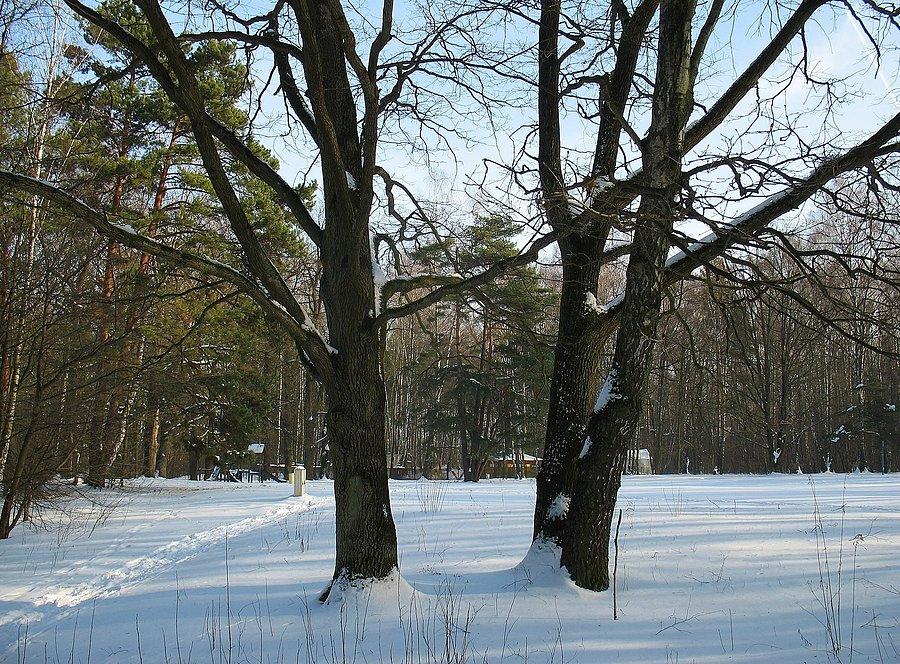 Park Kultury Powsin - waypoint 2777