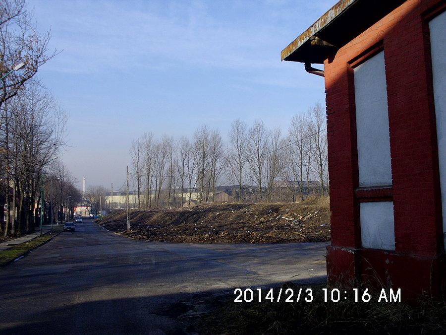 Teren po wyciętych chaszczach pomiędzy ulicą ks. Piotra Skargi a linią kolejową nr 131 w Chorzowie