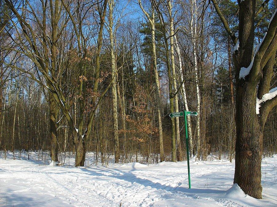 Powsin - drogowskaz przy Ogrodzie Botanicznym