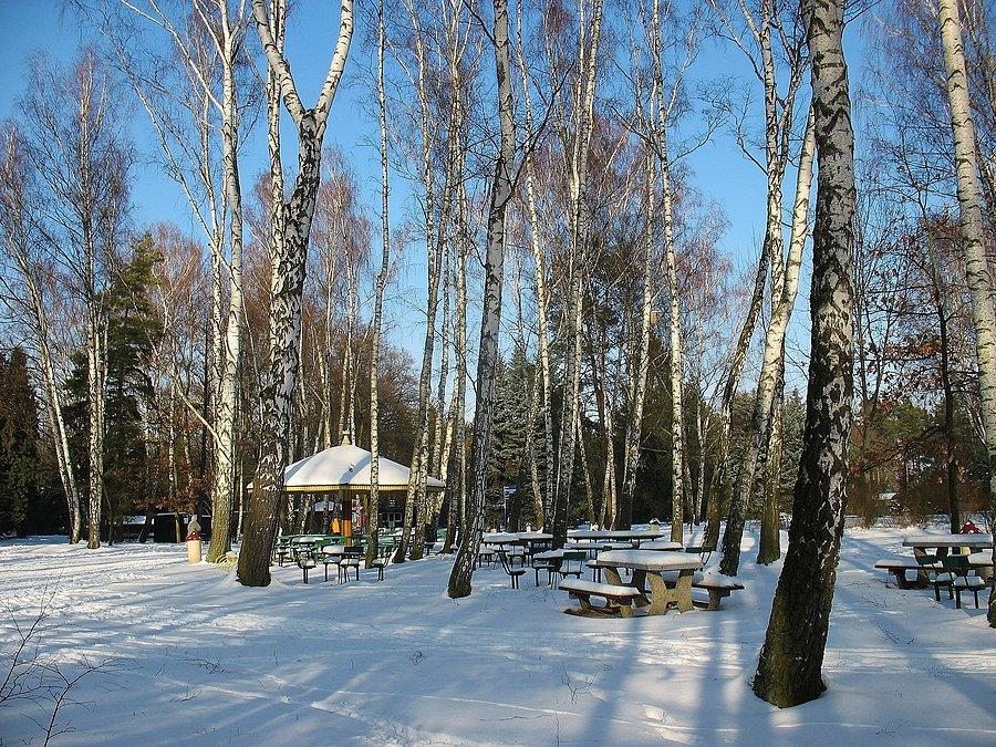 Powsin - Park Kultury