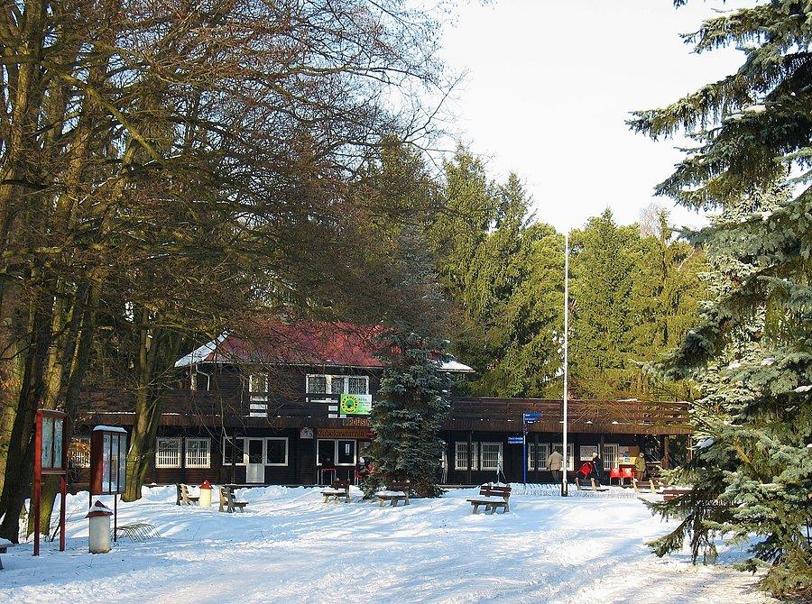 Park Kultury w Powsinie