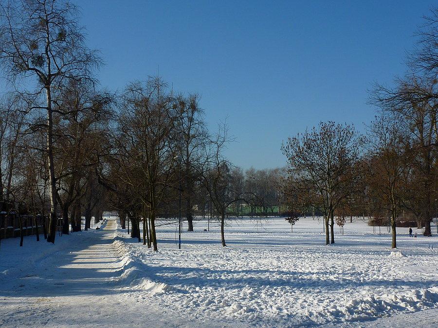 Biegówki w Parku Księcia Janusza