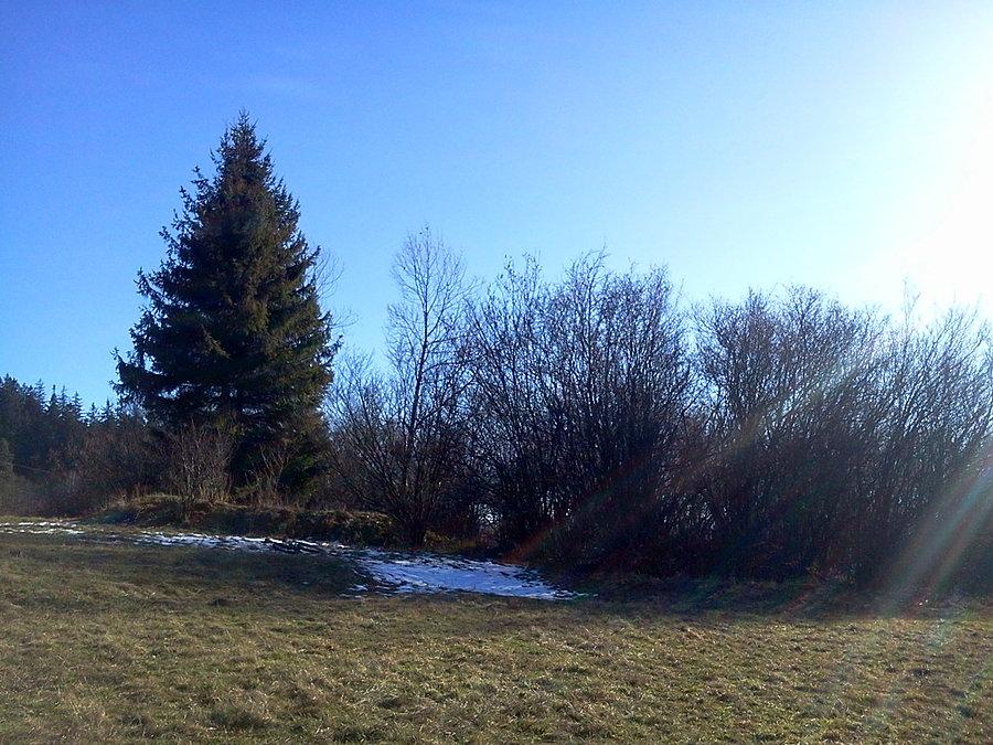 Szaniec Dolina