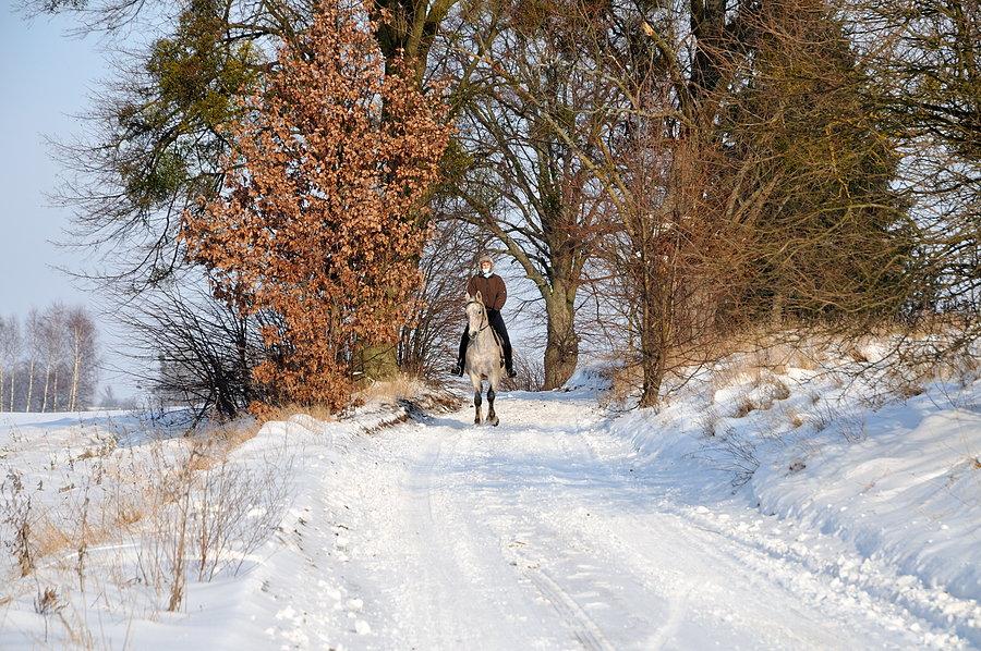 Jedziemy dalej w kierunku Trzcińska