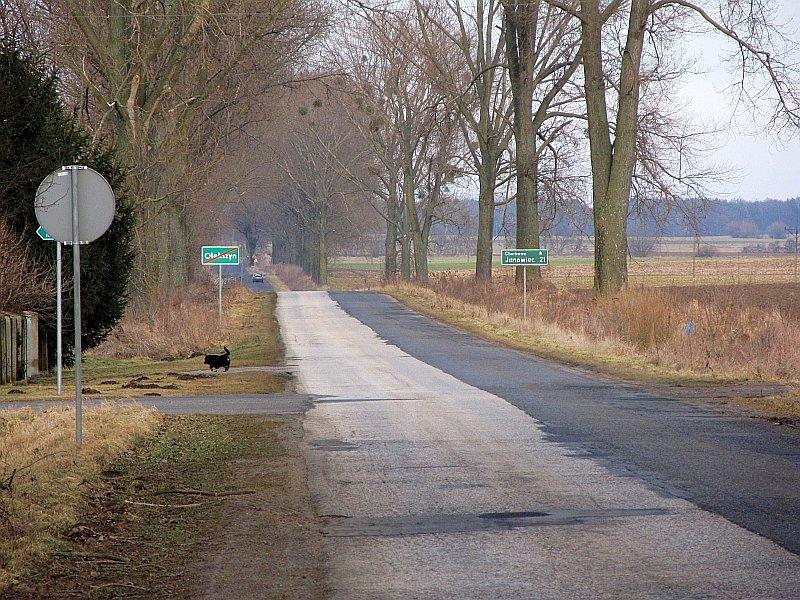 Asfaltowy, długi powrót