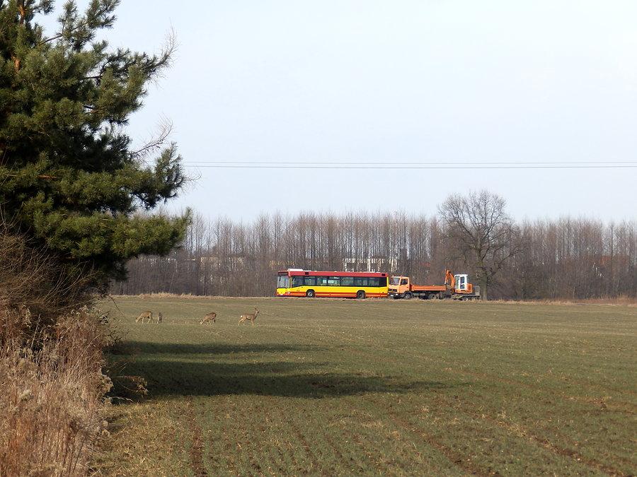 Komunikacja i przyroda