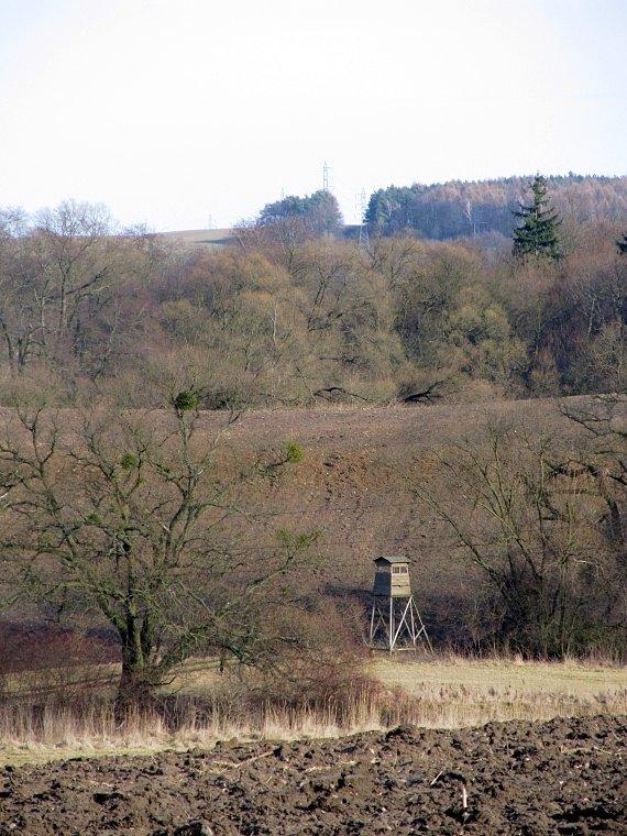 Widok na bliską okolicę Wierzonki