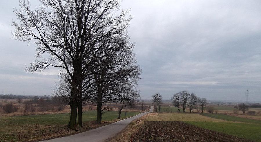 Teraz jadę już sam z Olzy do Rogów