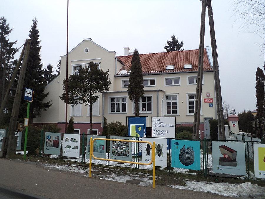 Liceum Plastyczne w Gronowie Górnym
