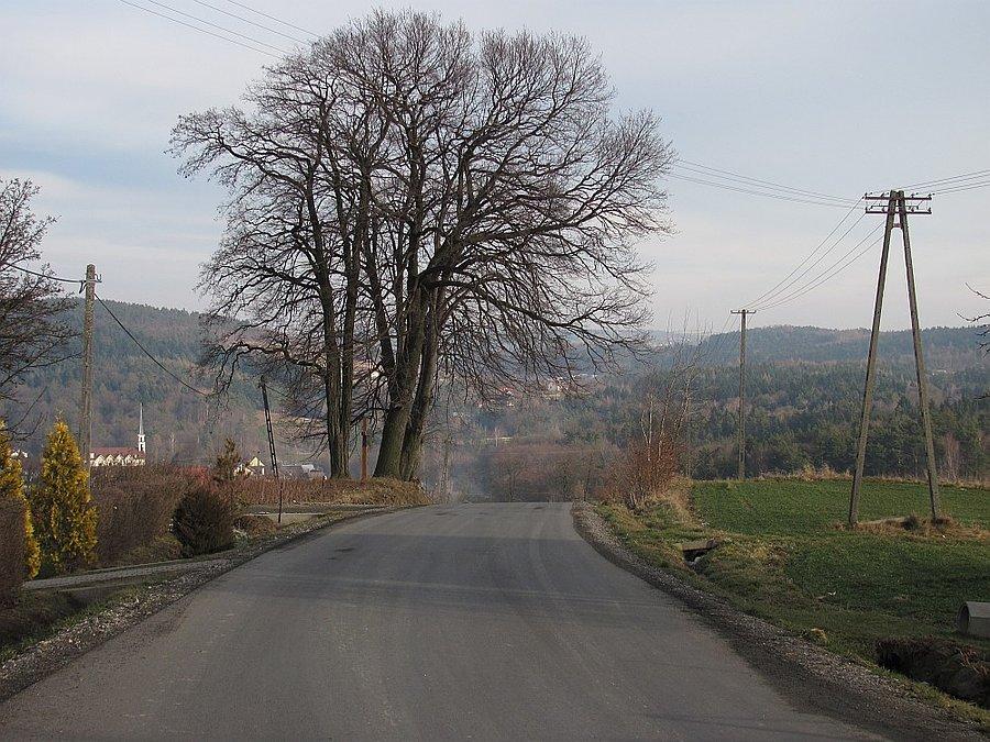 Zjazd z Kipsznej