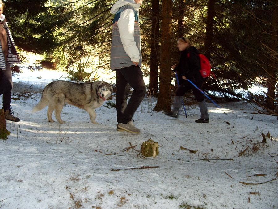 Po drodze mijamy pięknego psa Husky, który wydaje być się trochę zaniepokojony taką ekipą ;))
