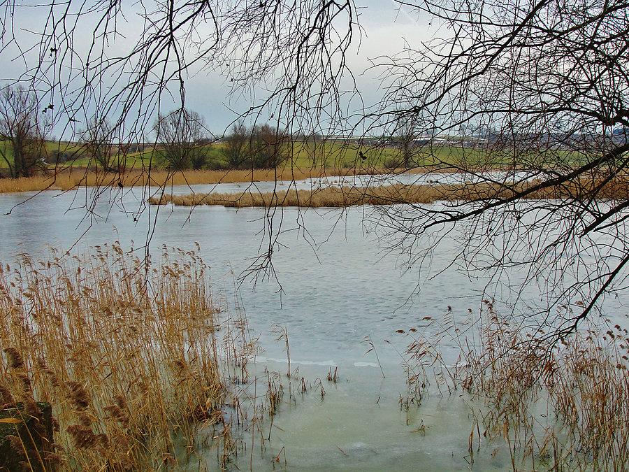 Na trasie wycieczki. Staw hodowli ryb