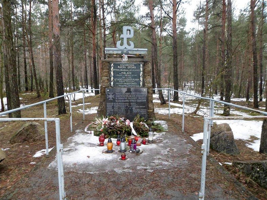 Leśni wysadzali pociągi