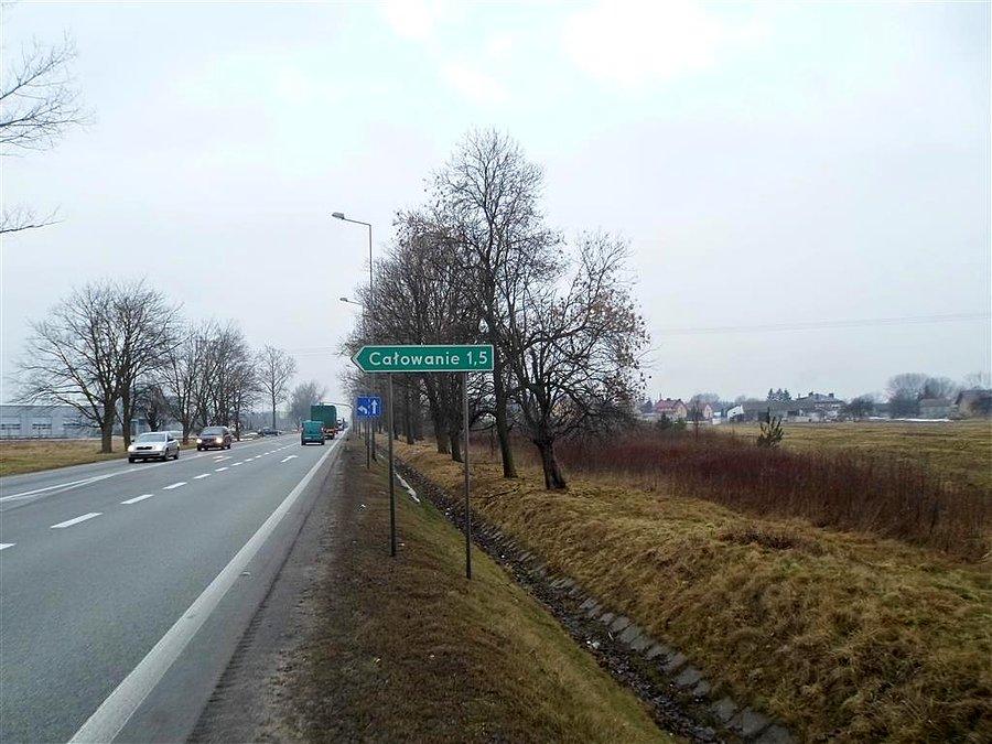 Fantazja nazewnictwa nie zna granic