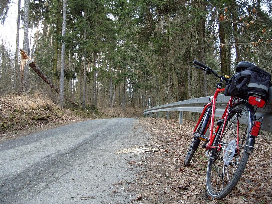 Podjazd od Starkowa w stronę Wielisławia, też szkody były
